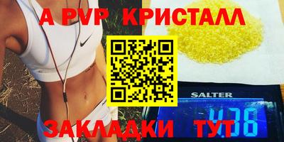 гидра Тара