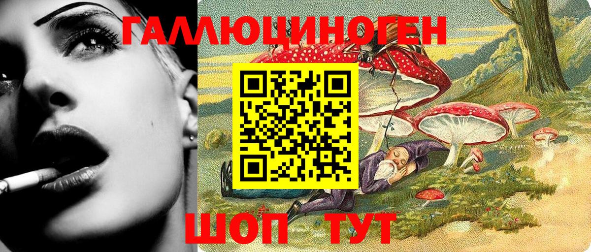 закладка  Галлюциногенные грибы MAGIC MUSHROOMS  Вход с VPN  Новый Уренгой 